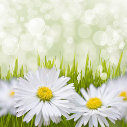 Similar image 5489025