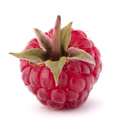 Similar image 5489031