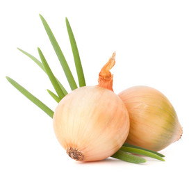 Similar image 5489037