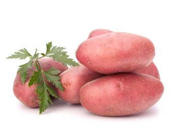 Similar image 5489042