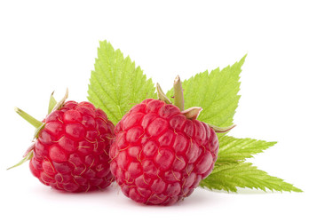 Similar image 5489043