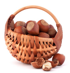 Similar image 5489051