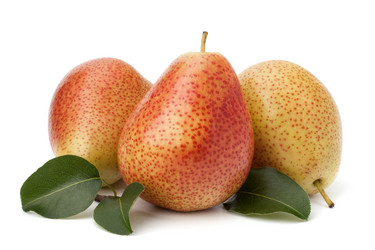 Similar image 5489058