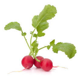 Similar image 5489069