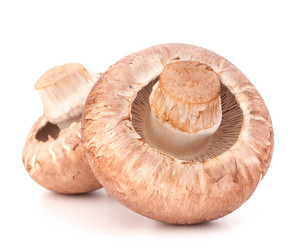 Similar image 5489074