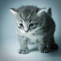 Similar image 5489084