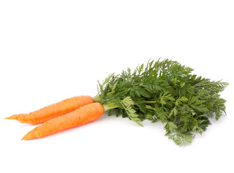 Similar image 5489096