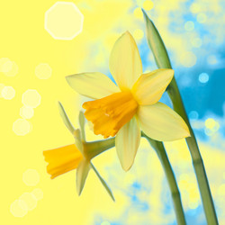 Similar image 5489130