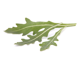 Similar image 5489151