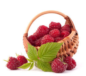 Similar image 5489157