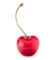 Similar image 5489170