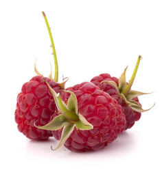 Similar image 5489204