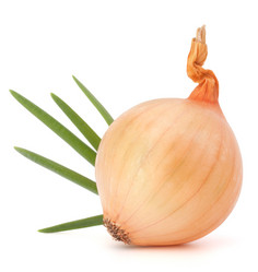 Similar image 5489228