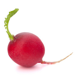 Similar image 5489270