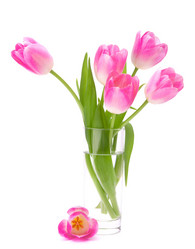 Similar image 5489279