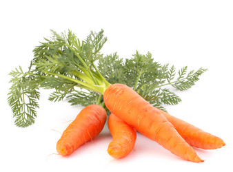 Similar image 5489282