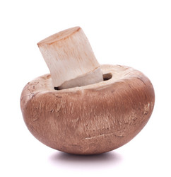 Similar image 5489310