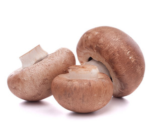 Similar image 5489319