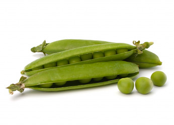 Similar image 5489335