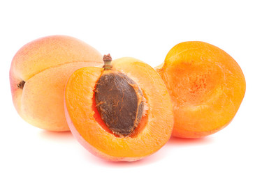 Similar image 5489342