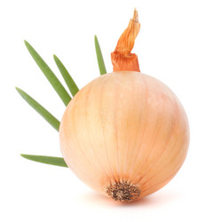 Similar image 5489347