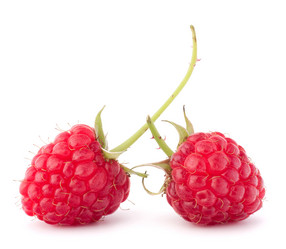 Similar image 5489358