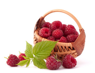 Similar image 5489360