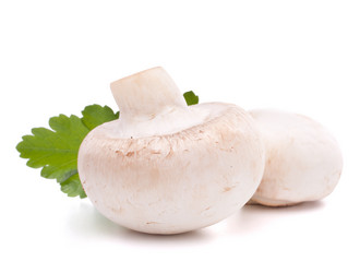 Similar image 5489411