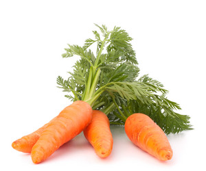 Similar image 5489422