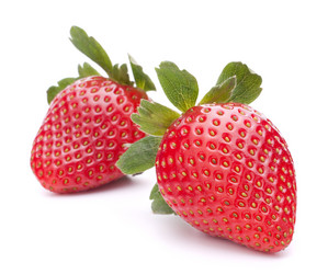 Similar image 5489431