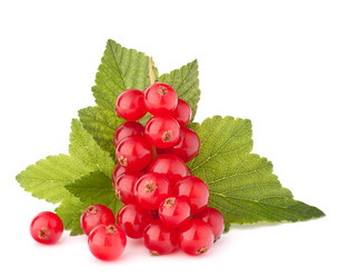 Similar image 5489433