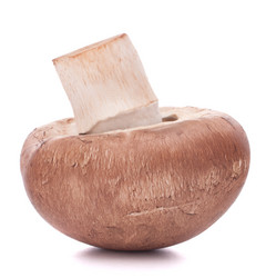 Similar image 5489446