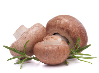 Similar image 5489450