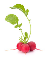 Similar image 5489461