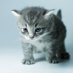 Similar image 5489470