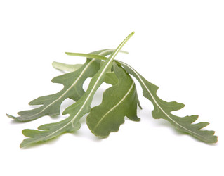 Similar image 5489478