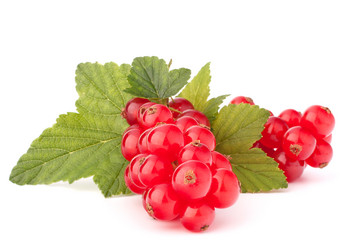 Similar image 5489486