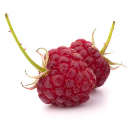 Similar image 5489498