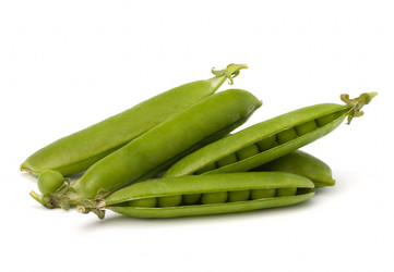 Similar image 5489505