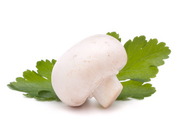 Similar image 5489513