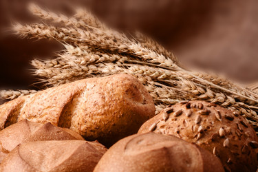 Similar image 5489520