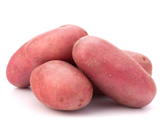 Similar image 5489530