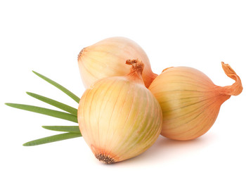 Similar image 5489569