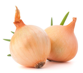 Similar image 5489579