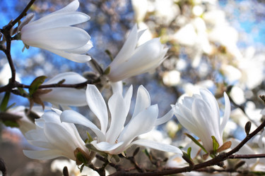 Similar image 5489597