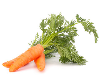 Similar image 5489625