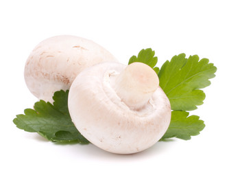 Similar image 5489641