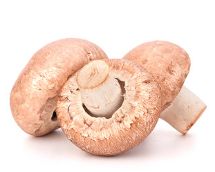 Similar image 5489674