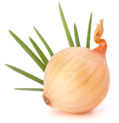 Similar image 5489689