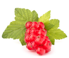 Similar image 5489699